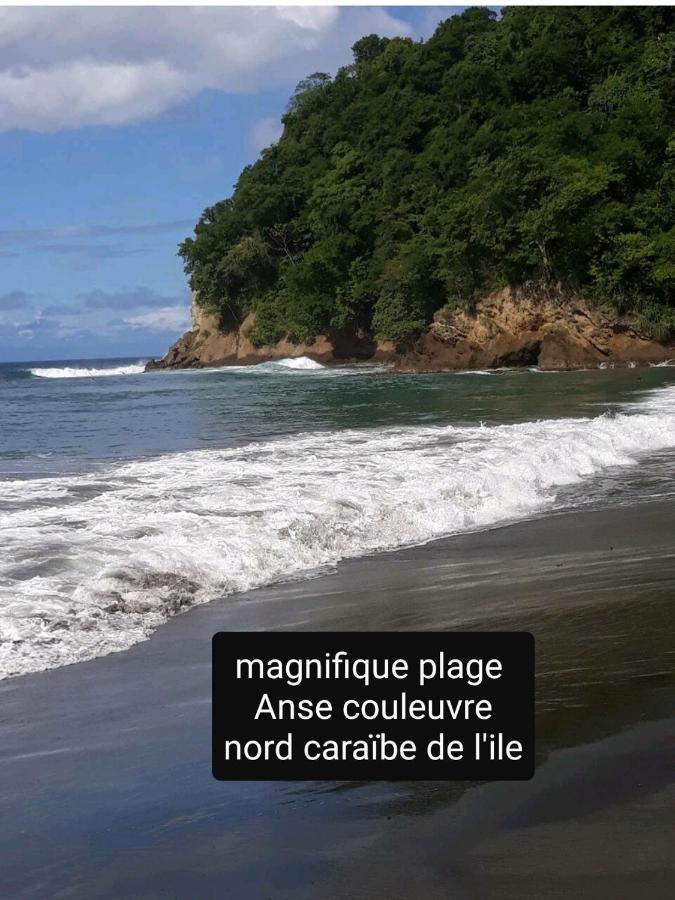 A La Montagne Lägenhet Le Morne-Vert Exteriör bild